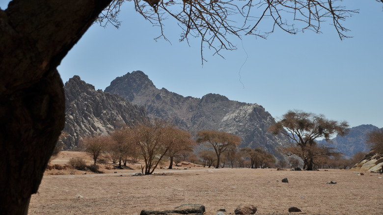 Badr battleground