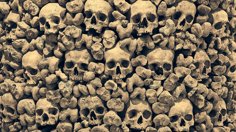 Skulls and bones