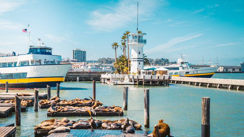 Fisherman's Wharf in San Francisco 