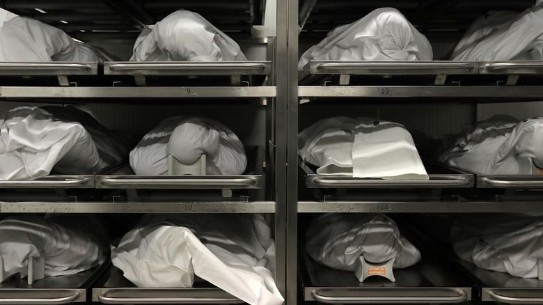 Bodies in a morgue