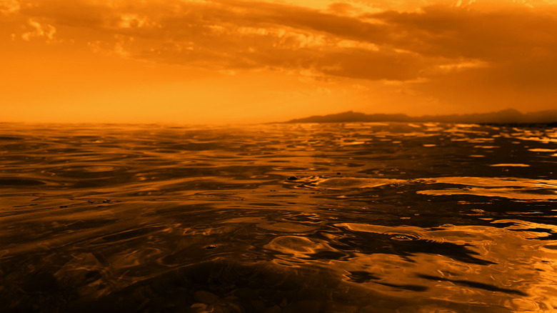 an orange sea under an orange sky