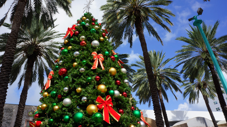 Christmas tree surrounded by palm trees in Florida