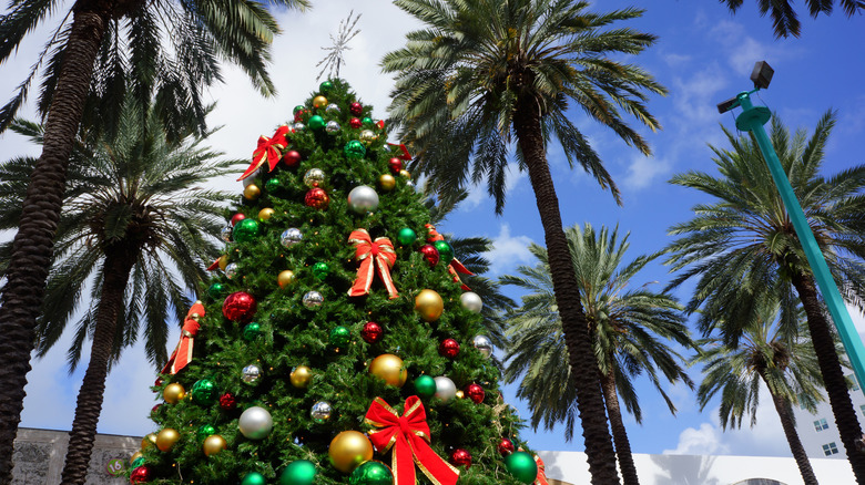 Christmas tree surrounded by palm trees in Florida