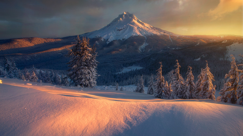 winter nature scene in Oregon