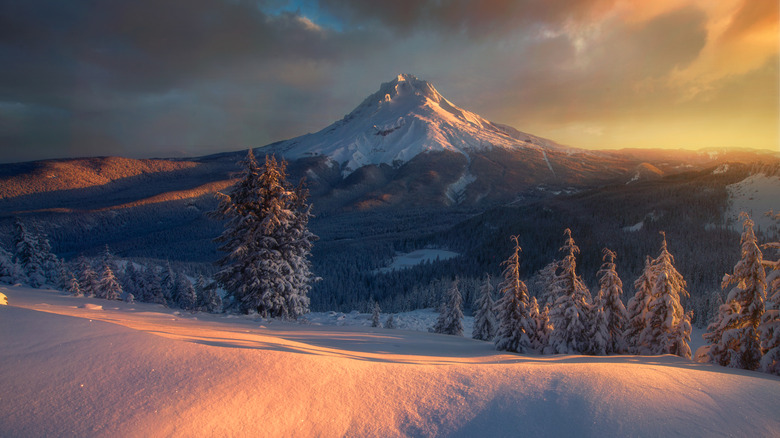 winter nature scene in Oregon