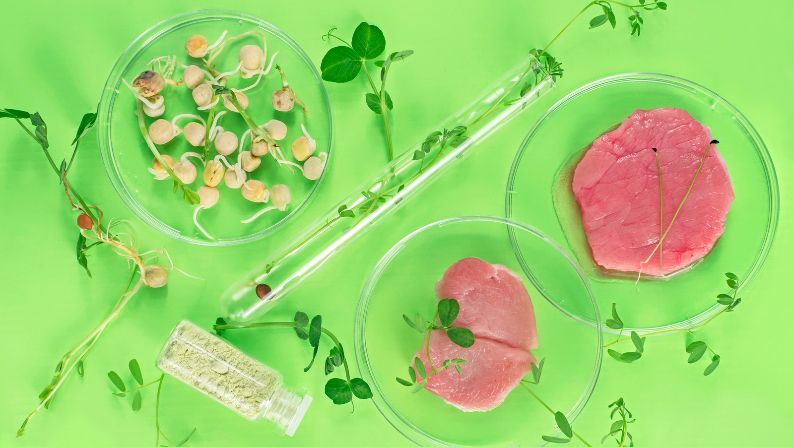 LabGrown Foods That Could Help Save The