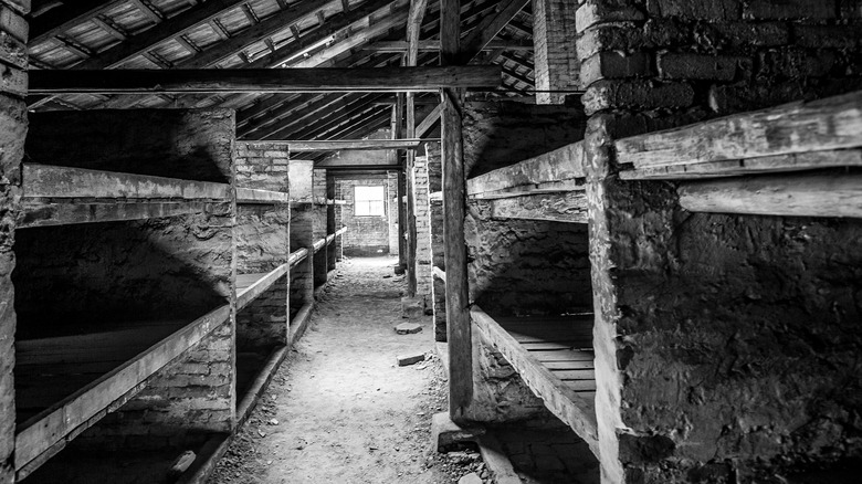 Auschwitz beds in ruins