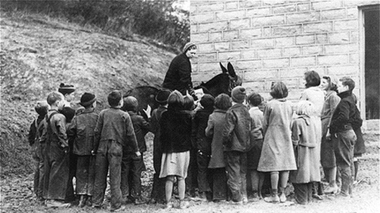 Pack Horse Librarian at a school