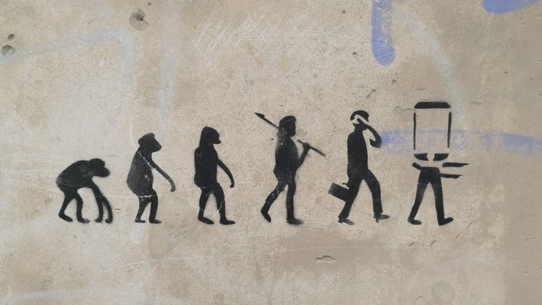 wall mural of evolution of man