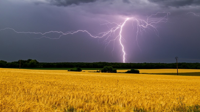 lightning strike in open field