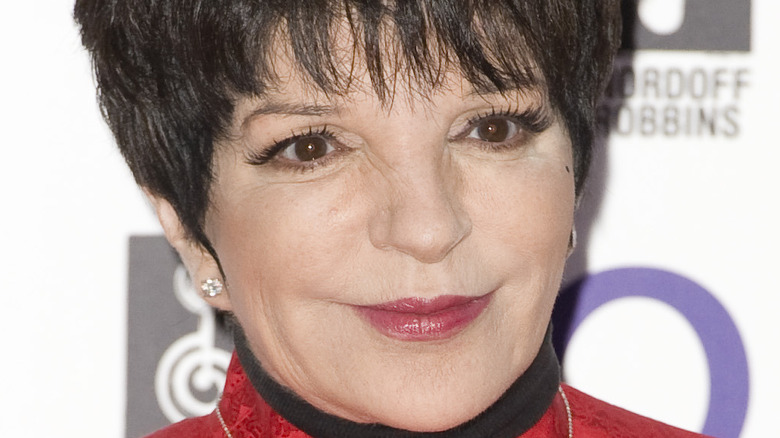 Liza Minnelli half smiling