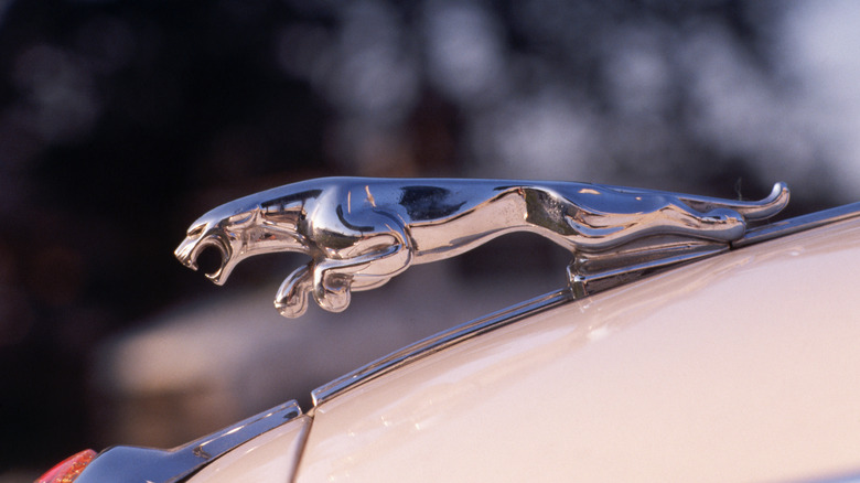 Jaguar hood ornament close up
