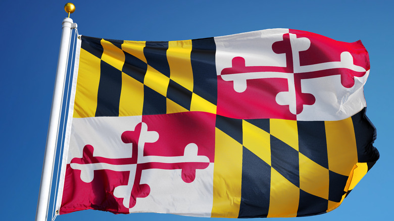 Maryland state flag