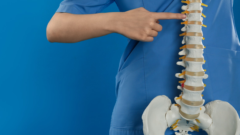 a hand showing a spine