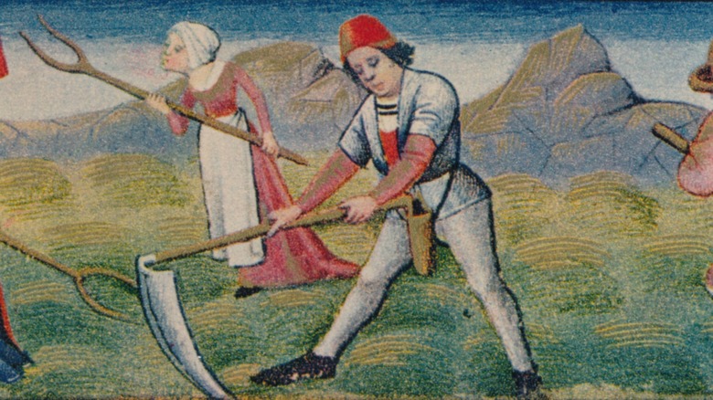 Medieval peasant working