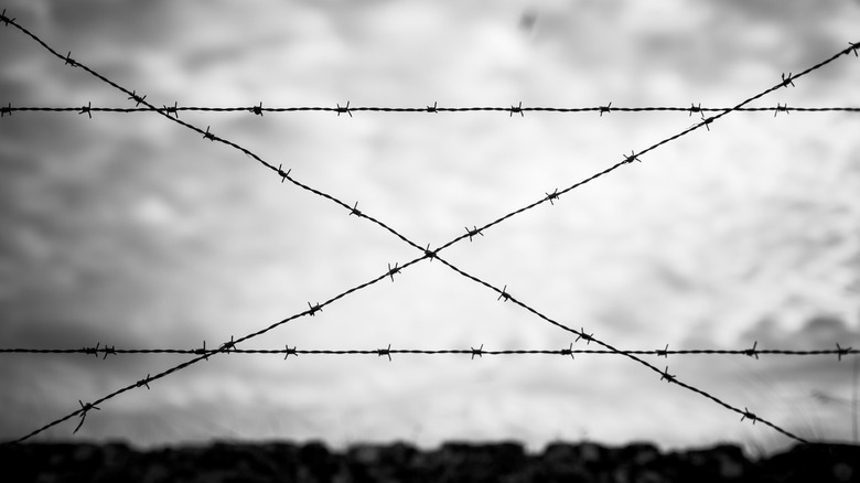 barbed wire