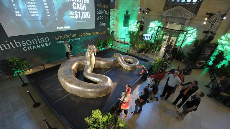 Replica of Titanoboa