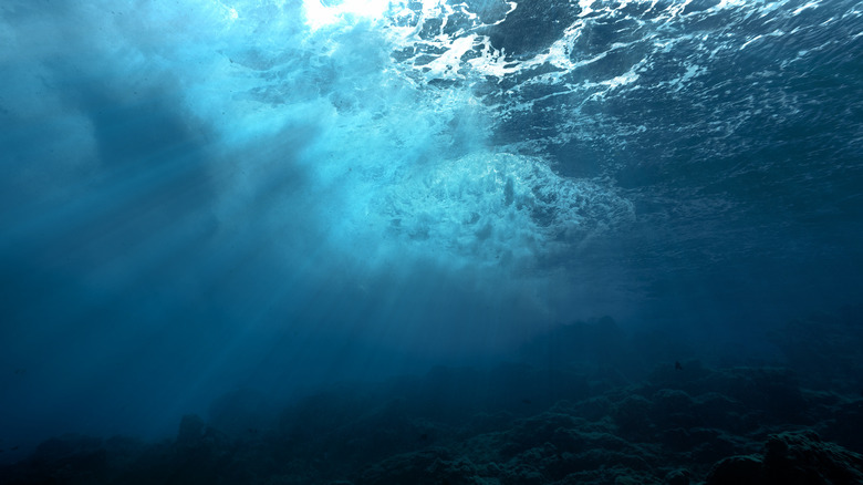 Underwater in the Atlantic Ocean