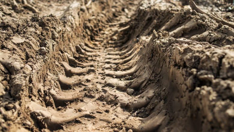 mud tracks