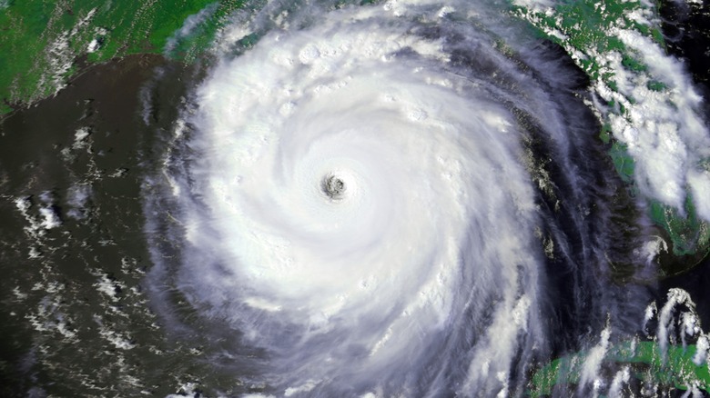Hurricane Katrina satellite view