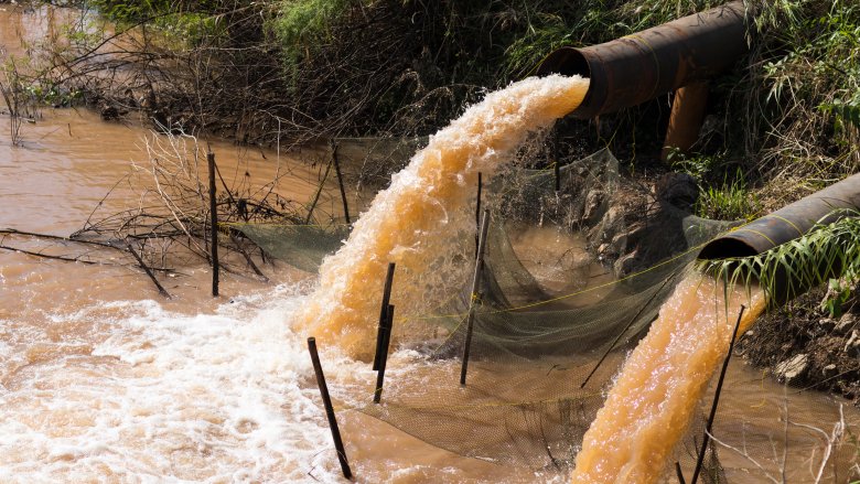 raw sewage