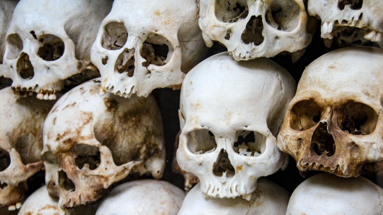 human skulls