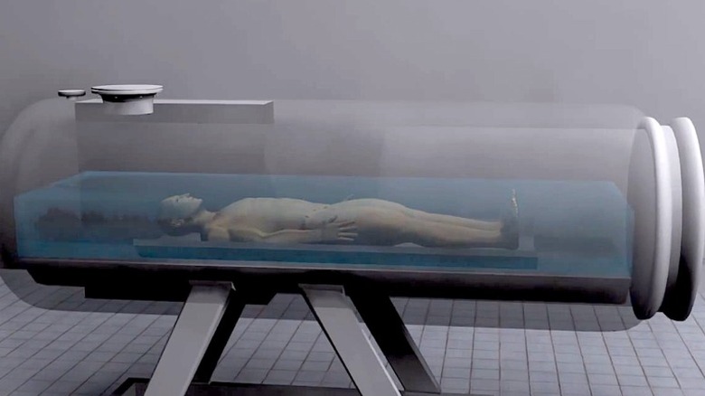 Image of a human form inside an aquacremation chamber