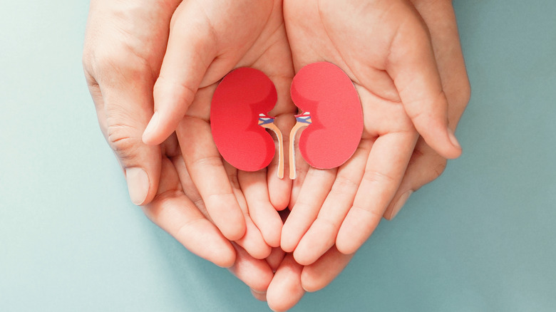 An organ donor/recipient