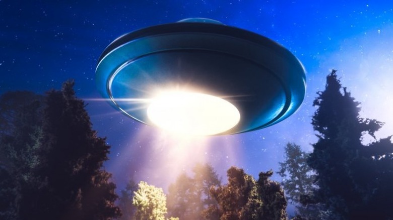 UFO in forest