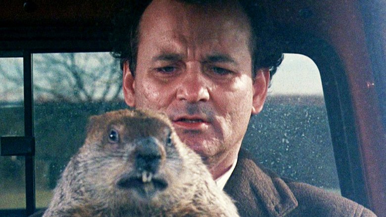 groundhog day