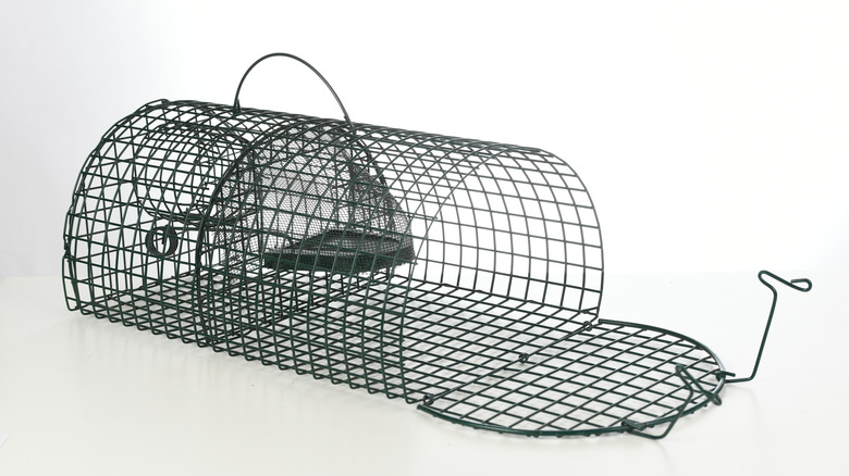 Mousetrap 