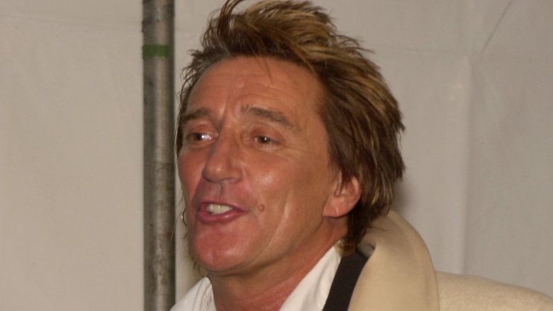 Rod Stewart 