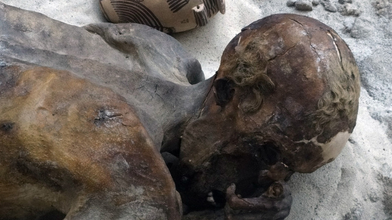Gebelein red-haired Egyptian mummy