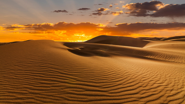 A desert dune at sunset