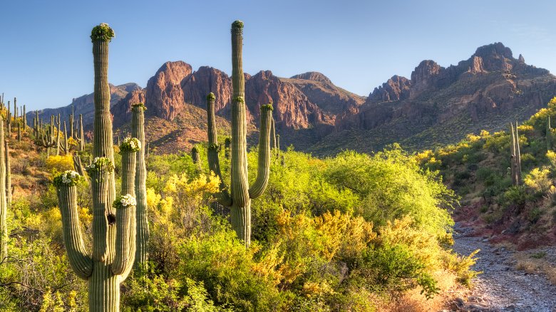 superstition mountains