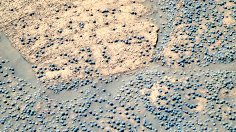 Martian blueberries