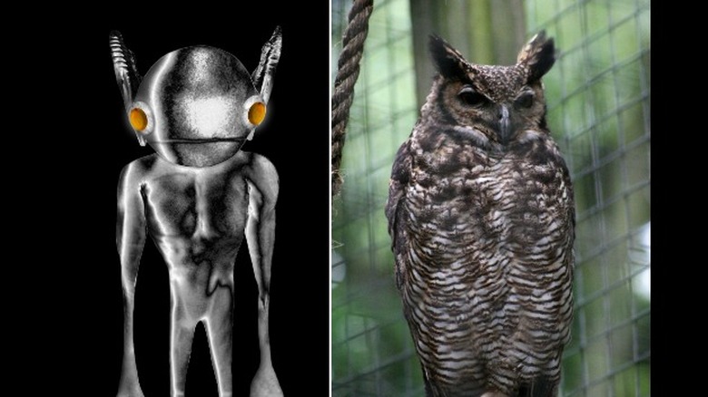 Comparing a Kelly-Hopkinsville monster and the great horned owl