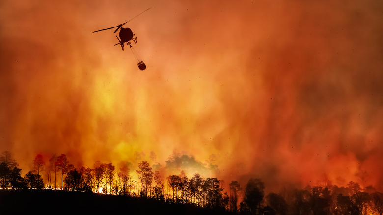 helicopter fire forest wildfire