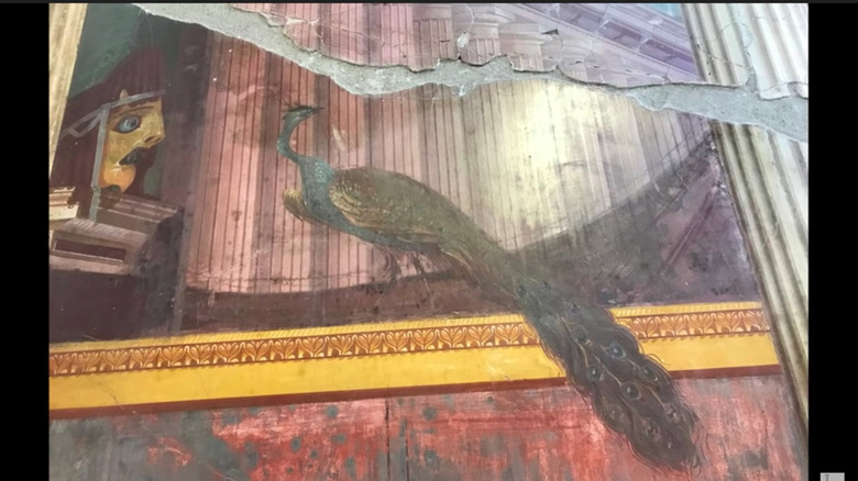 freso peacock Villa Poppaea