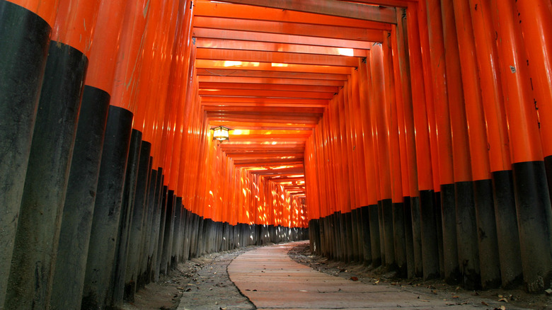 Fushimi Inari shrine in Kyoto, Japan.