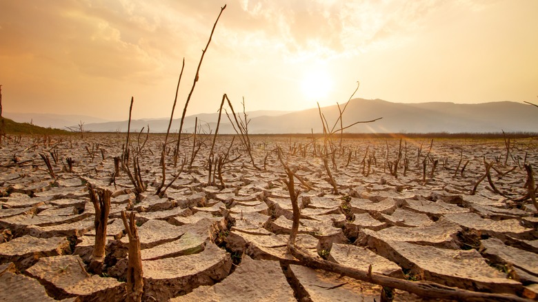 dried up lake drought