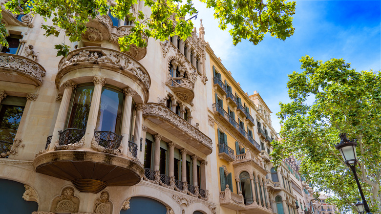 street view of pretty green avenue in barcelona