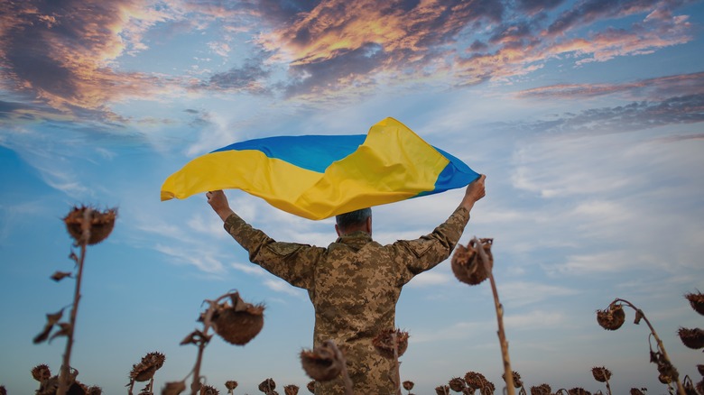 ukrainian soldier holding flag in sunflower field