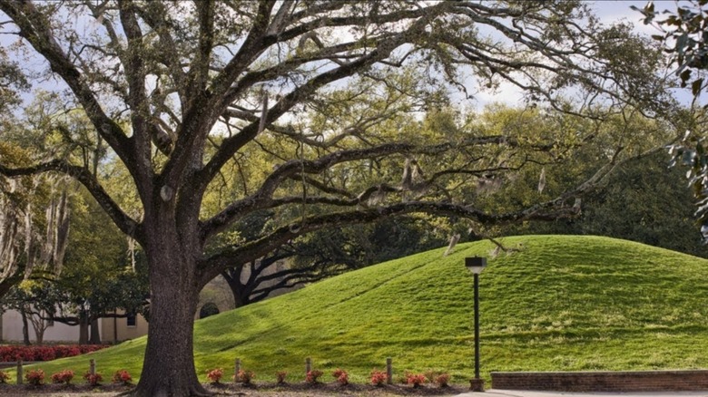 lsu ancient mound