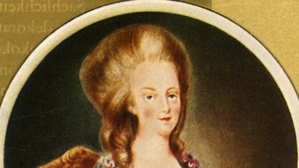 portrait of Marie Antoinette
