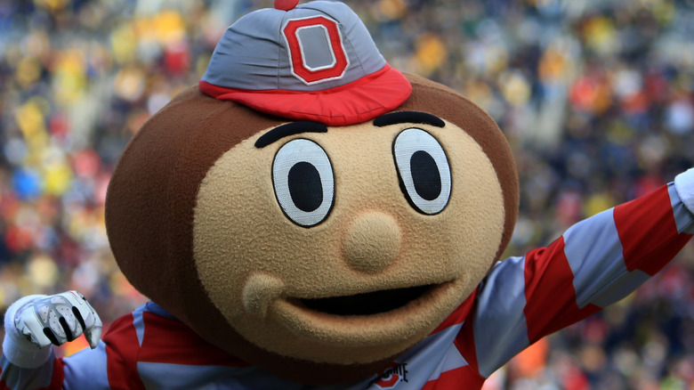 Brutus Buckeye