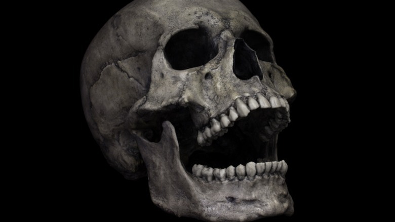 Human skull on black background