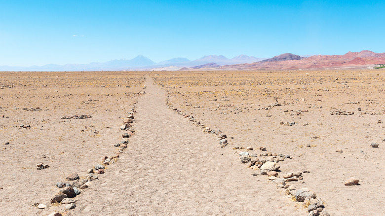 the Atacama Desert