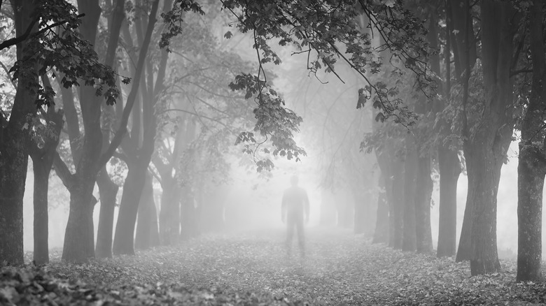 Figure standing in foggy forest