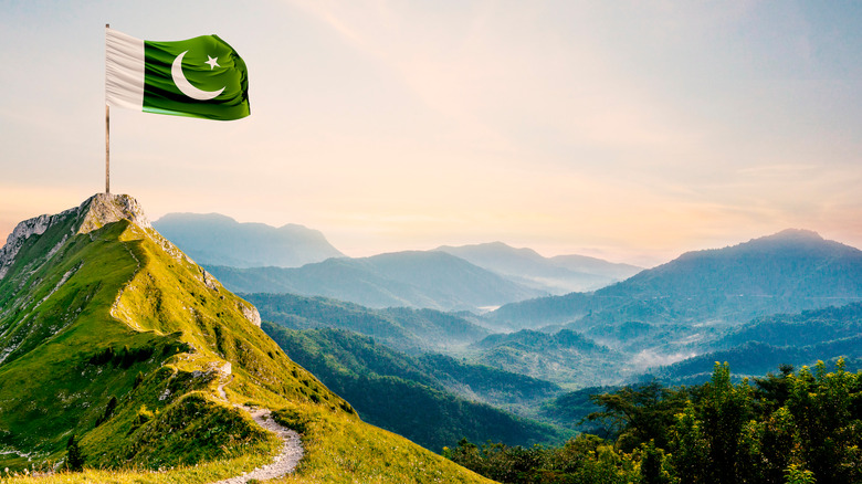 The Pakistani flag